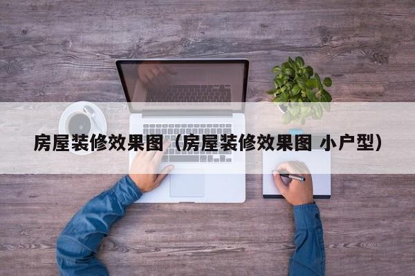 房屋装修效果图（房屋装修效果图 小户型）